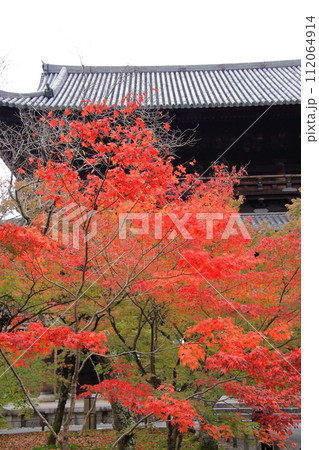 京都の紅葉　南禅寺　永観堂　哲学の道 112064914