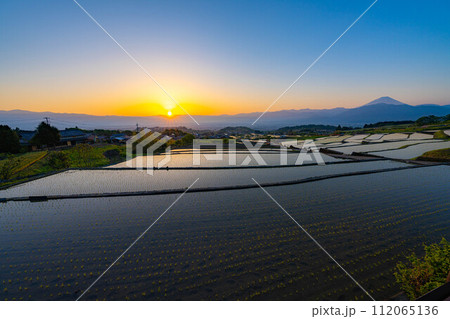 【初夏素材】夜明けの中野の棚田【山梨県】 【初夏素材】夜明けの中野の棚田【山梨県】 112065136