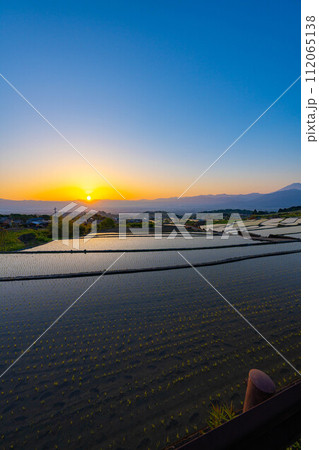 【初夏素材】夜明けの中野の棚田【山梨県】 112065138