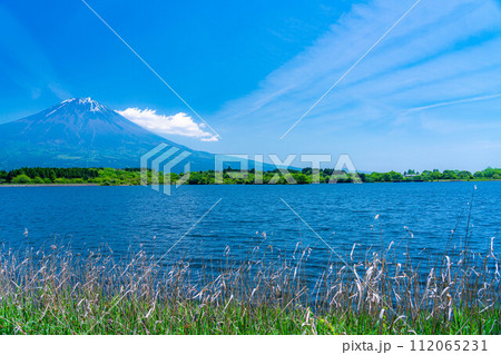 【初夏素材】田貫湖から見る富士山【静岡県】 112065231
