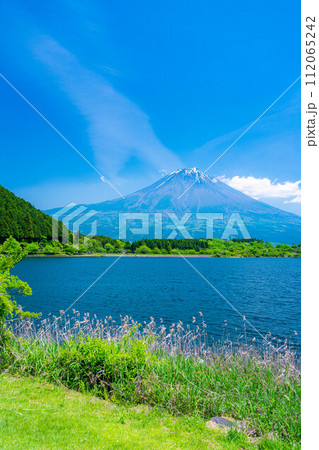 【初夏素材】田貫湖から見る富士山【静岡県】 112065242