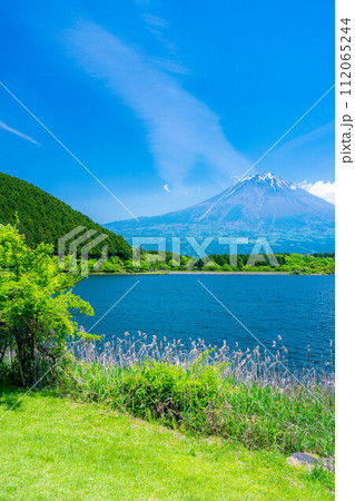 【初夏素材】田貫湖から見る富士山【静岡県】 112065244