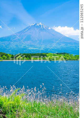 【初夏素材】田貫湖から見る富士山【静岡県】 112065245