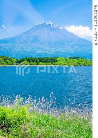 【初夏素材】田貫湖から見る富士山【静岡県】 【初夏素材】田貫湖から見る富士山【静岡県】 112065246
