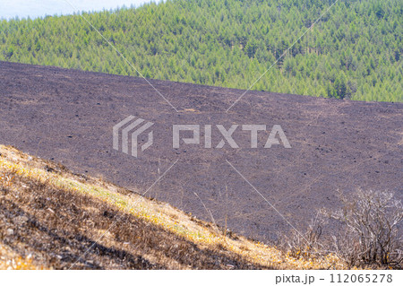 【災害イメージ】霧ケ峰高原の山火事跡【長野県】 112065278