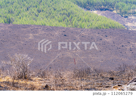 【災害イメージ】霧ケ峰高原の山火事跡【長野県】 112065279