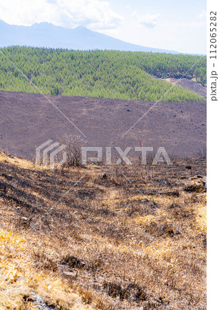 【災害イメージ】霧ケ峰高原の山火事跡【長野県】 112065282