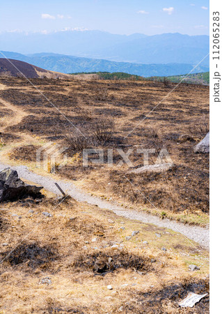 【災害イメージ】霧ケ峰高原の山火事跡【長野県】 112065283