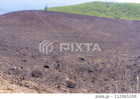 【災害イメージ】霧ケ峰高原の山火事跡【長野県】 112065289