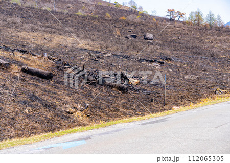 【災害イメージ】霧ケ峰高原の山火事跡【長野県】 112065305