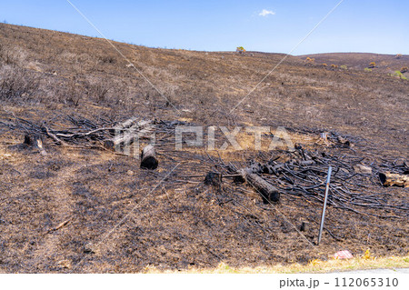 【災害イメージ】霧ケ峰高原の山火事跡【長野県】 112065310