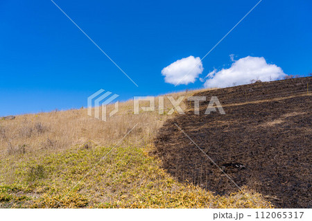 【災害イメージ】霧ケ峰高原の山火事跡【長野県】 112065317