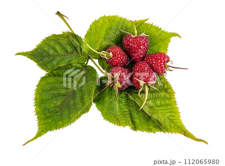 Raspberry with leaves. Raspberry isolated on white background. Raspberry with leaves. Raspberry isolated on white background. 112065980