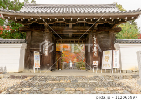 京都市右京区嵯峨二尊院の総門(薬医門)から見る紅葉(紅葉の馬場) 京都市右京区嵯峨二尊院の総門(薬医門)から見る紅葉(紅葉の馬場) 112065997