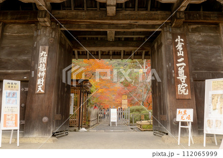 京都市右京区嵯峨二尊院の総門（薬医門）から見る紅葉（紅葉の馬場） 112065999