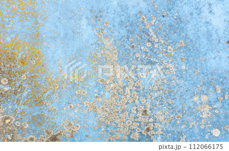 A wall painted with blue paint, damaged by mold patterns. 112066175