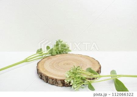 Podium and plants for advertising product photography 112066322