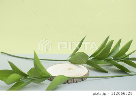 Podium and plants for advertising product photography Podium and plants for advertising product photography 112066329