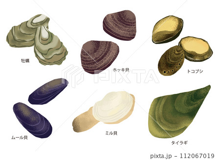 いろいろな貝のイラスト3 112067019