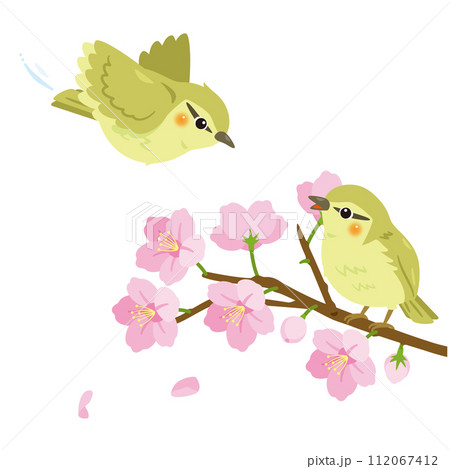桜の枝と2羽のウグイス 112067412