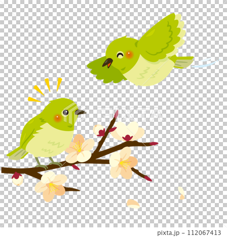 White plum branch and two white-eyes White plum branch and two white-eyes 112067413