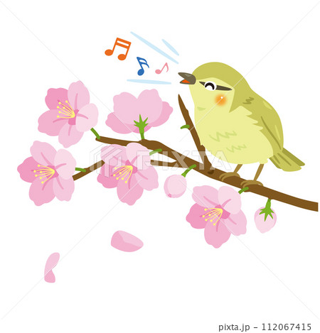 桜の枝に止まって鳴くウグイス 桜の枝に止まって鳴くウグイス 112067415