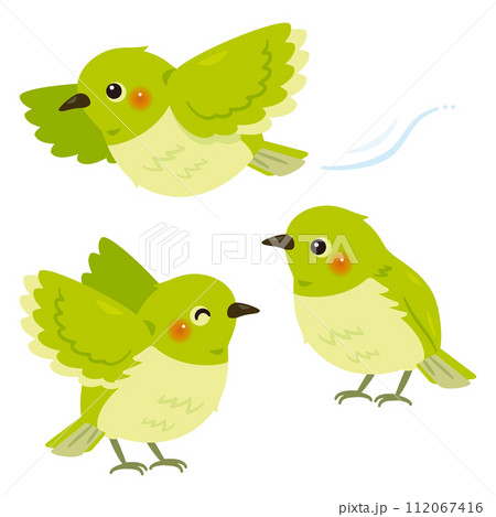 メジロセット 112067416