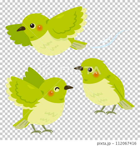 メジロセット 112067416