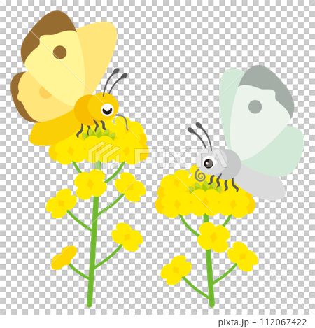 蝴蝶抽花蜂蜜 蝴蝶抽花蜂蜜 112067422