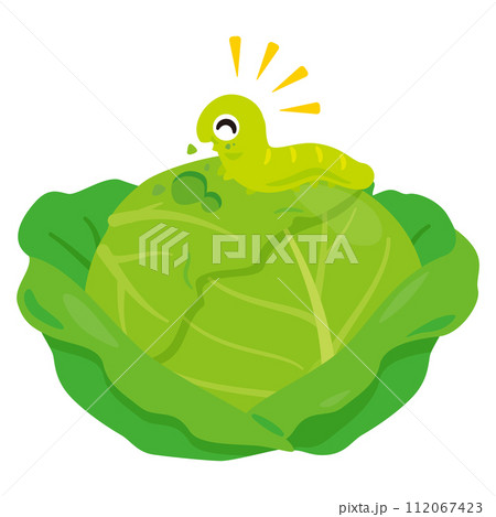 野菜を食べる青虫 野菜を食べる青虫 112067423