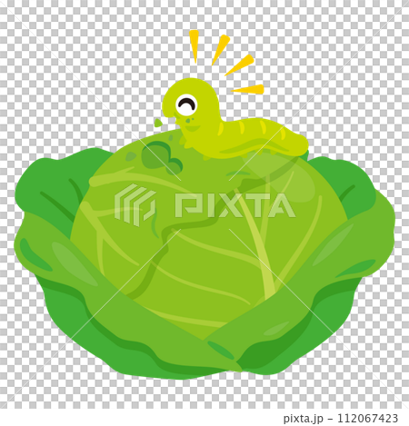 野菜を食べる青虫 野菜を食べる青虫 112067423