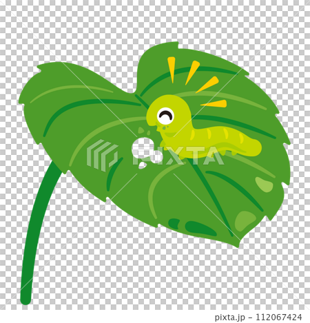 毛毛蟲吃樹葉 112067424