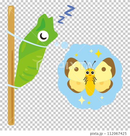 等待羽化的蛹 等待羽化的蛹 112067425