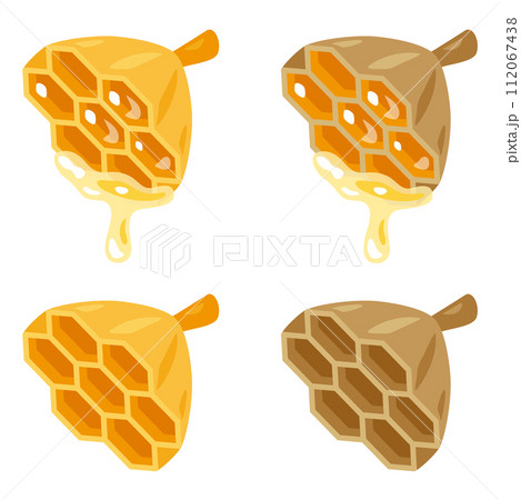 ハチの巣セット 112067438