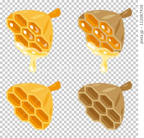 ハチの巣セット 112067438