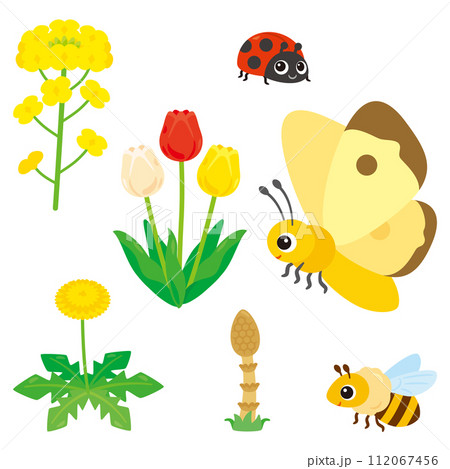 春の花と昆虫セット 春の花と昆虫セット 112067456