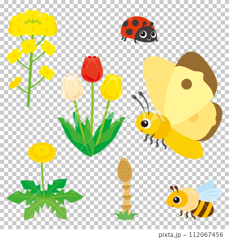 春の花と昆虫セット 春の花と昆虫セット 112067456