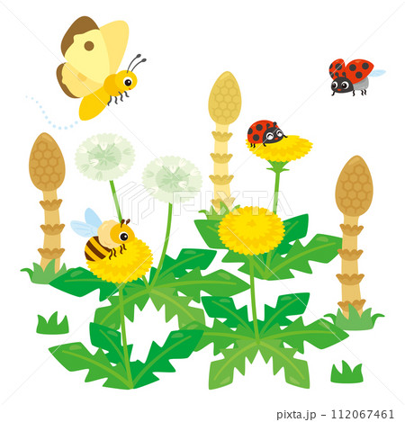 タンポポとつくしと昆虫 タンポポとつくしと昆虫 112067461