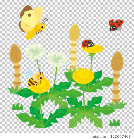 蒲公英、馬尾草和昆蟲 112067461