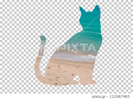 Silhouette of a sitting cat on a tropical beach 112067465