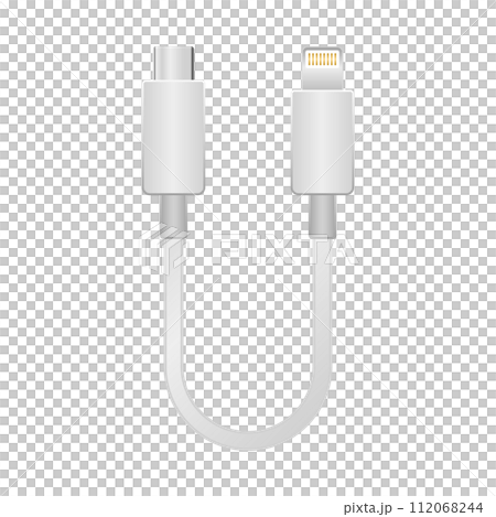 シンプルなイラスト_白い変換ケーブル_USB Type-CからLightning 112068244