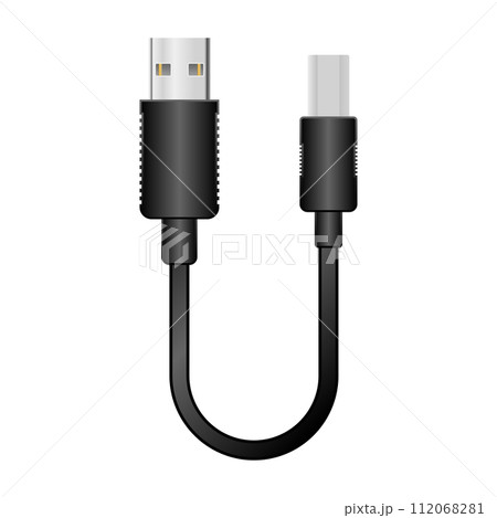 シンプルなイラスト_黒い変換ケーブル_USB Type-A 2.0からUSB Type-B 2.0 112068281