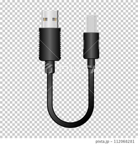 シンプルなイラスト_黒い変換ケーブル_USB Type-A 2.0からUSB Type-B 2.0 112068281
