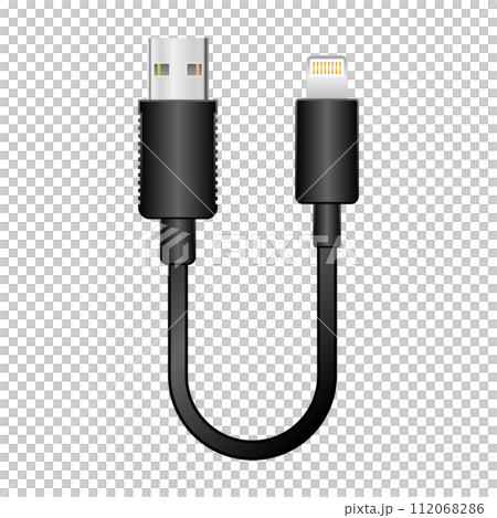 シンプルなイラスト_黒い変換ケーブル_USB Type-A 2.0からLightning シンプルなイラスト_黒い変換ケーブル_USB Type-A 2.0からLightning 112068286