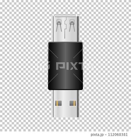 Simple illustration_Black conversion adapter_USB Type-A female to USB Type-A 2.0 112068381