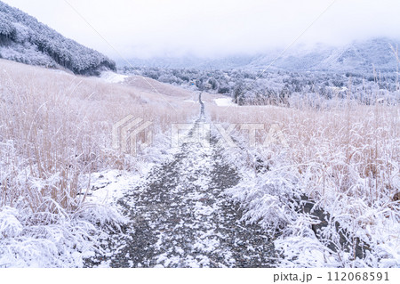 《神奈川県》雪景色の箱根・積雪の仙石原 112068591
