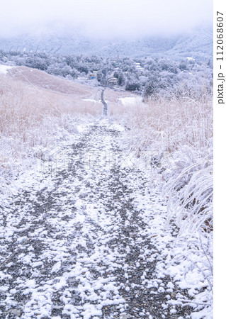 《神奈川県》雪景色の箱根・積雪の仙石原 112068607