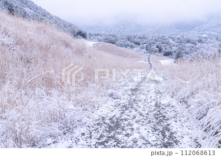 《神奈川県》雪景色の箱根・積雪の仙石原 《神奈川県》雪景色の箱根・積雪の仙石原 112068613