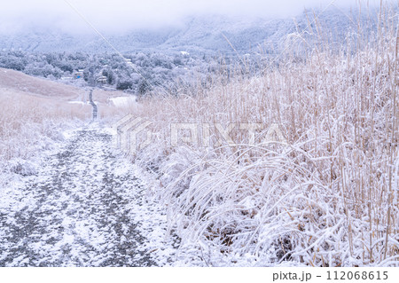 《神奈川県》雪景色の箱根・積雪の仙石原 《神奈川県》雪景色の箱根・積雪の仙石原 112068615
