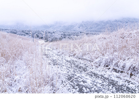《神奈川県》雪景色の箱根・積雪の仙石原 《神奈川県》雪景色の箱根・積雪の仙石原 112068620